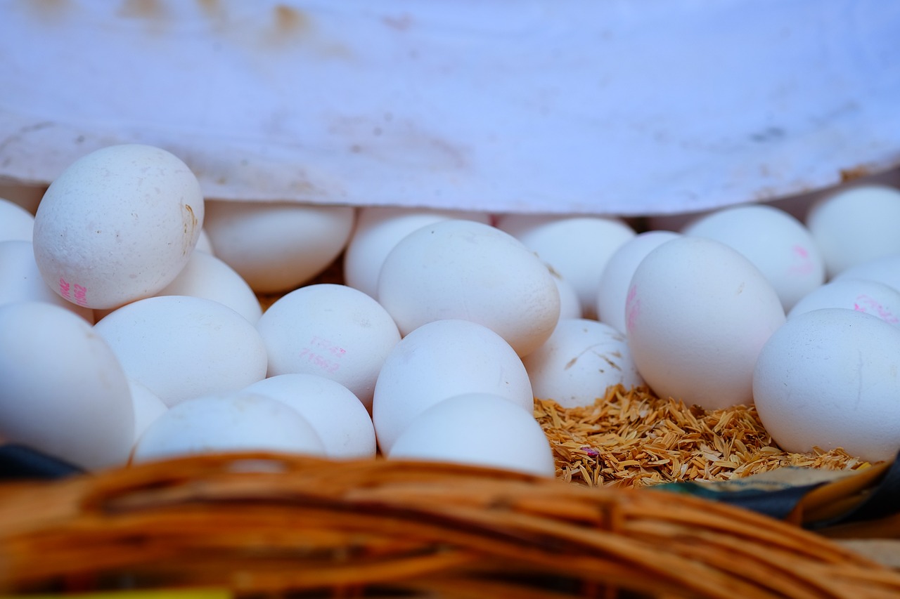 鈧最新價格動態(tài)分析與趨勢預測