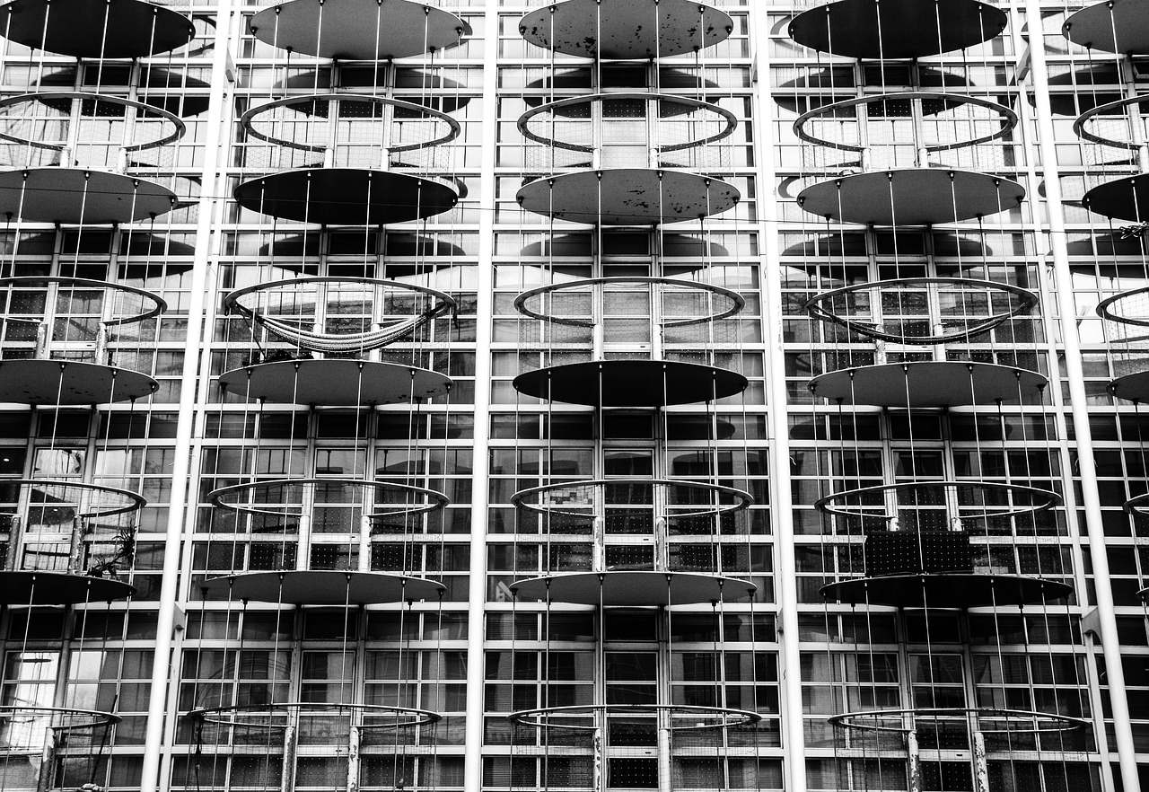 香芋最新價格分析與展望，未來趨勢解析