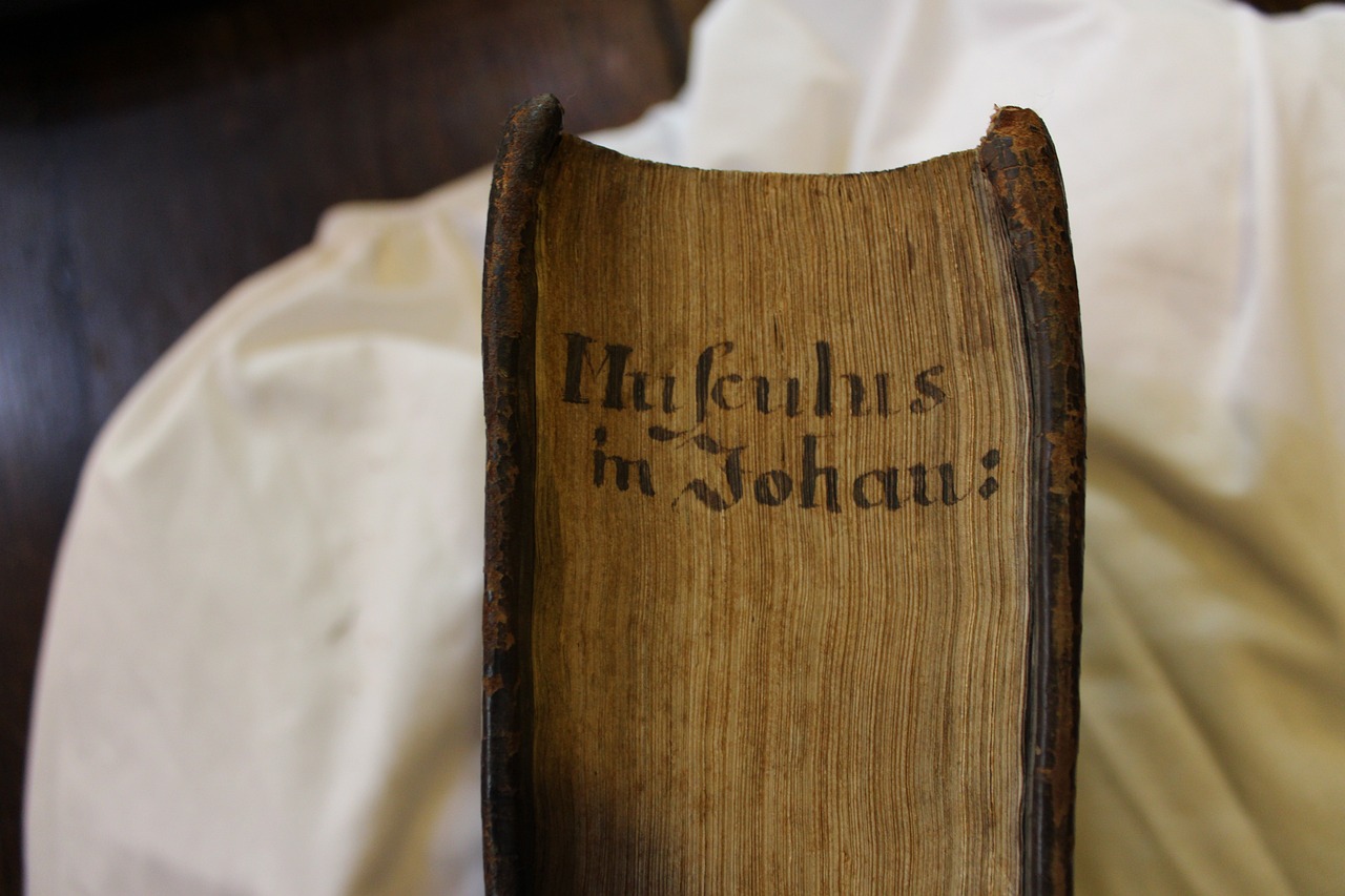 弒血阡 第18頁(yè)