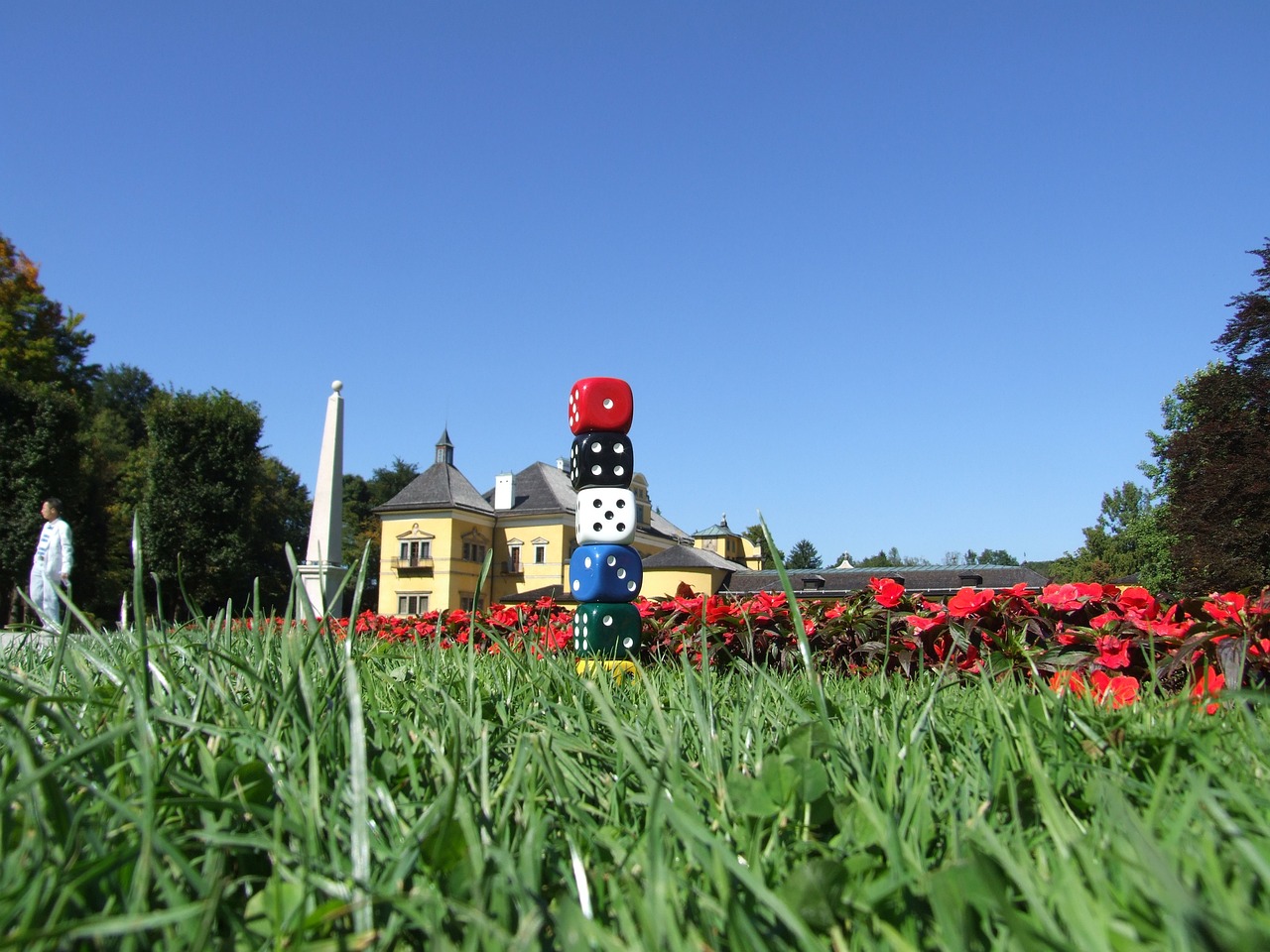 農(nóng)村最新項(xiàng)目，鄉(xiāng)村振興的新動(dòng)力重磅來(lái)襲！