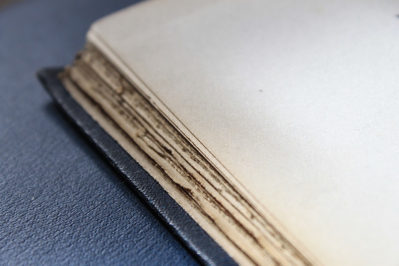 麗水店面出租最新信息與動態(tài)更新