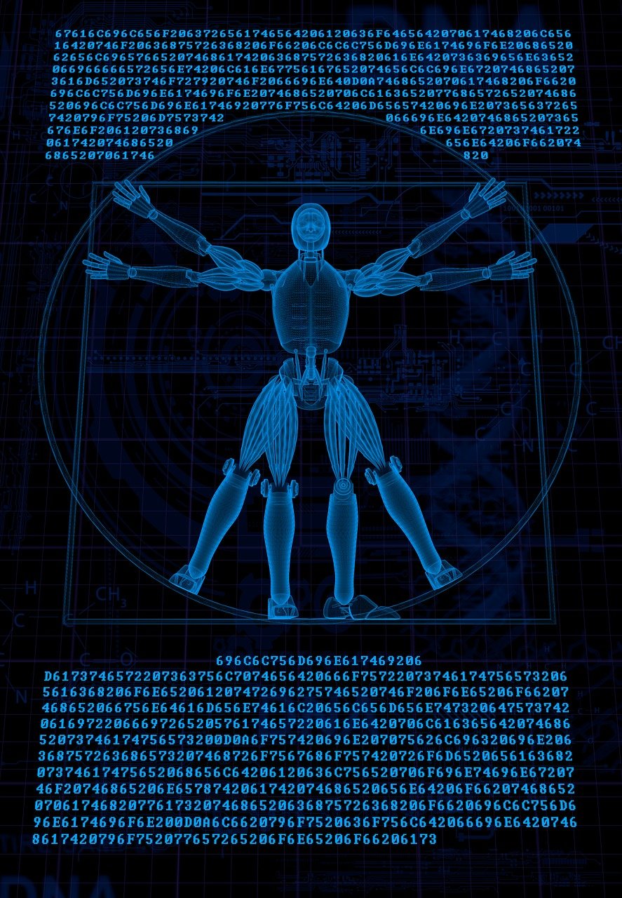 魔獸最新藍(lán)貼揭秘，游戲更新與未來(lái)展望揭秘