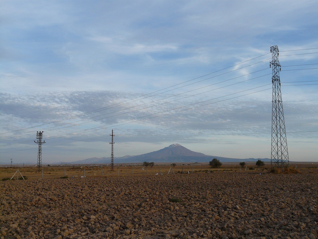 郭力夫最新動(dòng)態(tài)與成就概覽