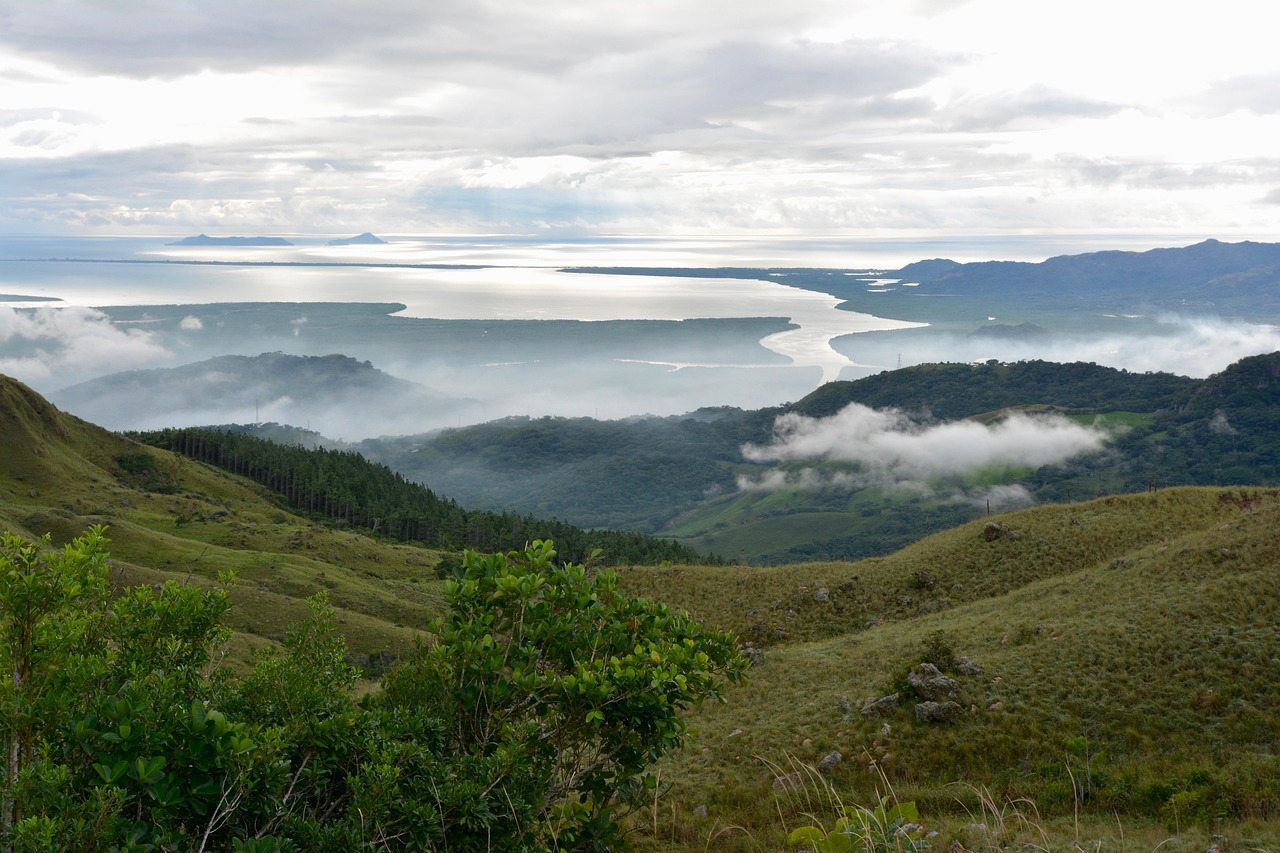 鉬鐵最新報價與市場動態(tài)分析概覽